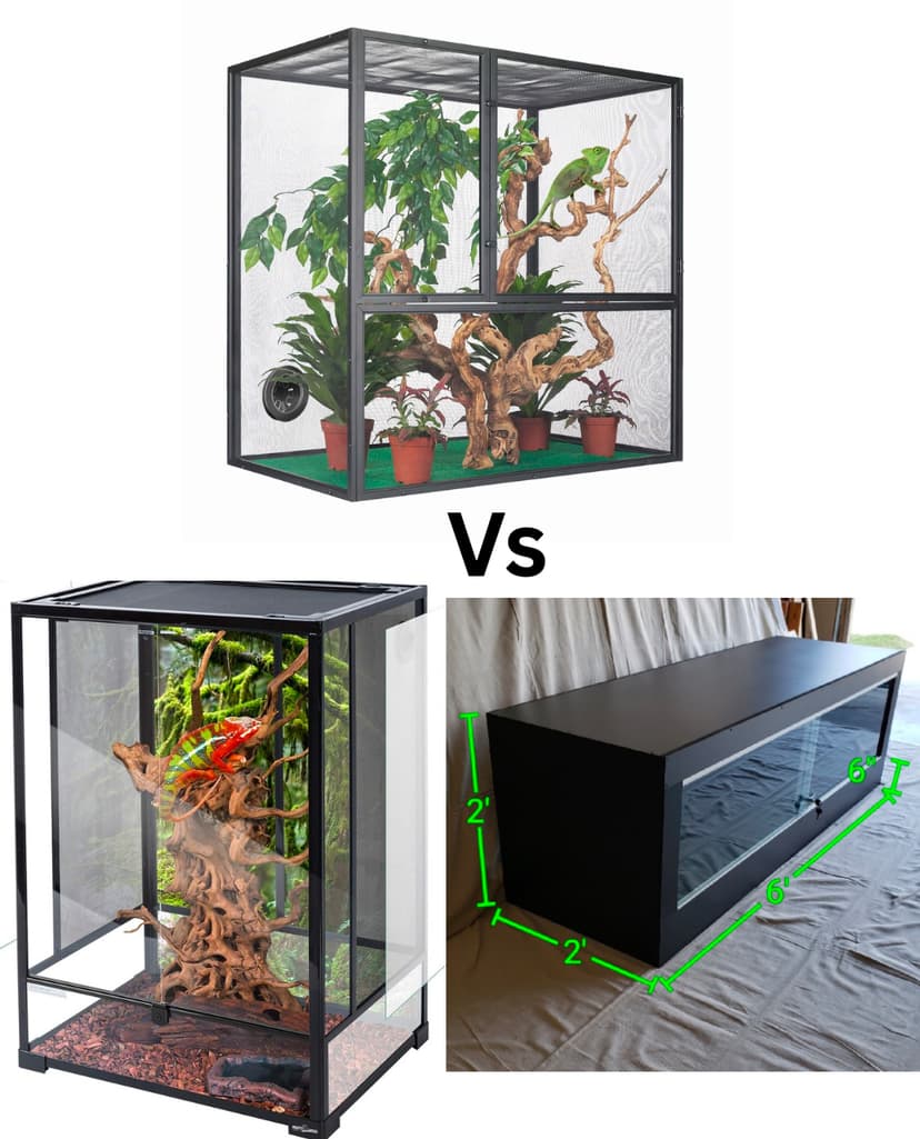 Glass vs. Mesh vs. PVC: Choosing the Best Enclosure for Your Abronia Lizard