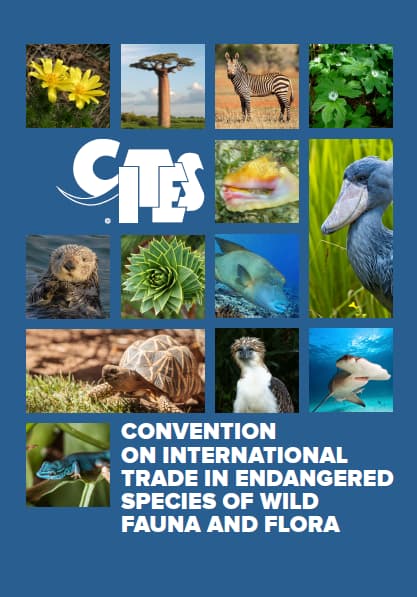 Complete Abronia Species Reference Guide